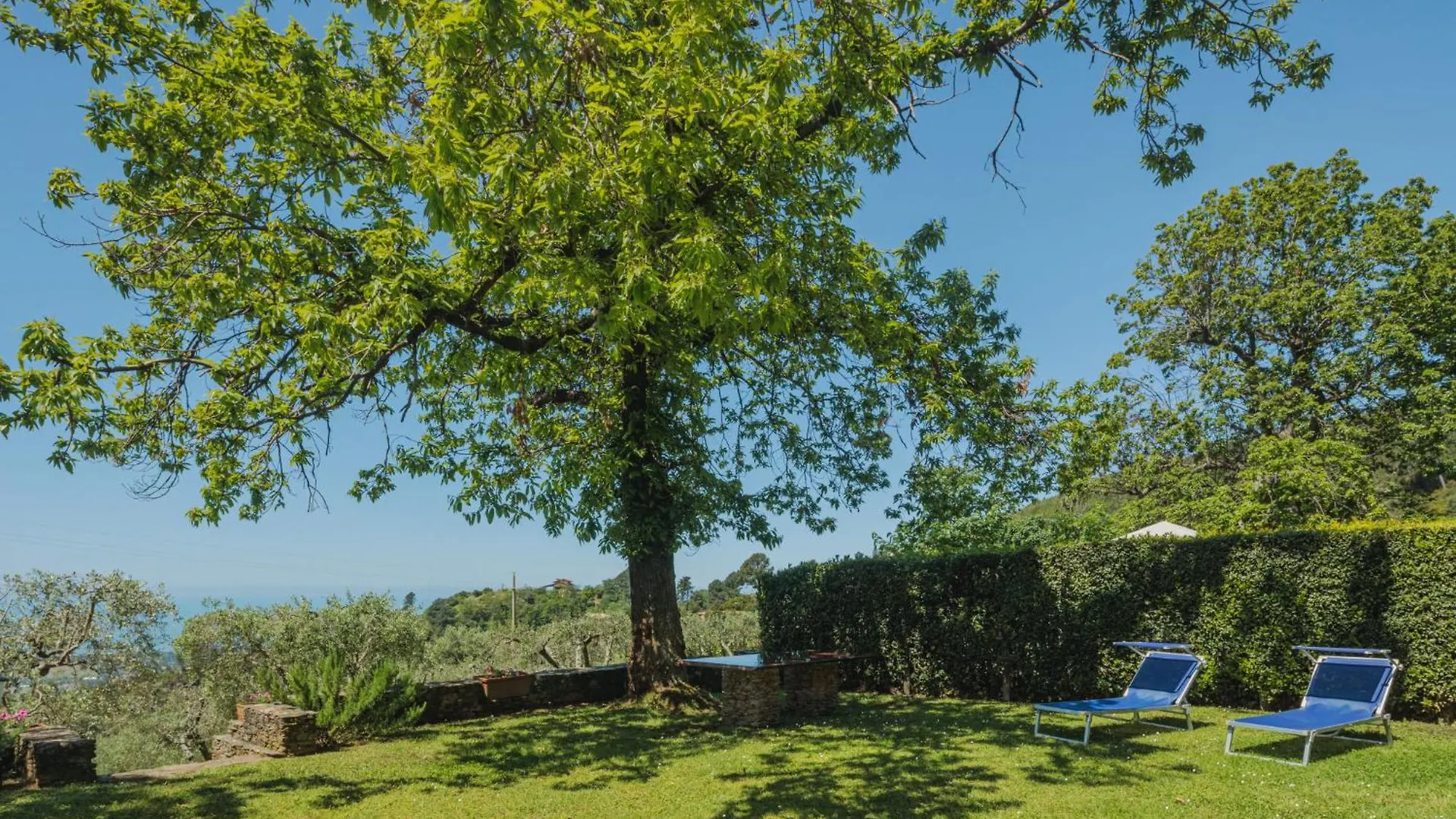 Holiday Home Di Carlino By Interhome Montignoso Italy